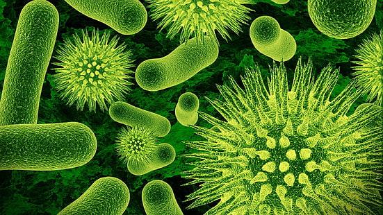 bacteria