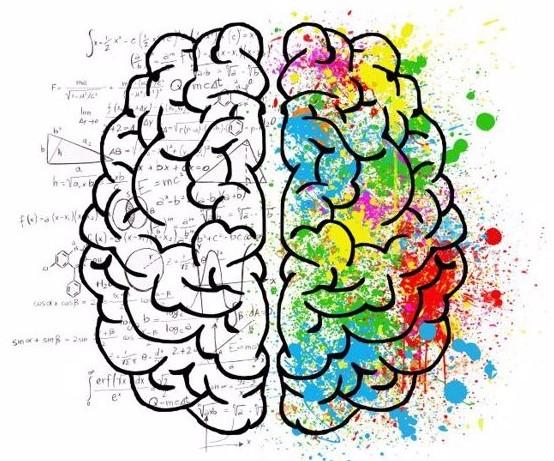 brain-720-min (2)