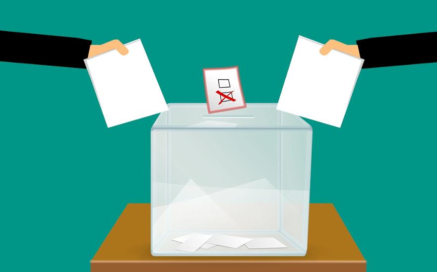 vote, voting, voting ballot