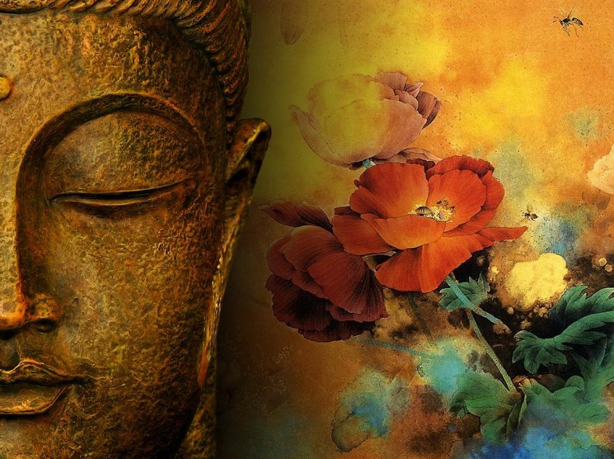 buddha front cover