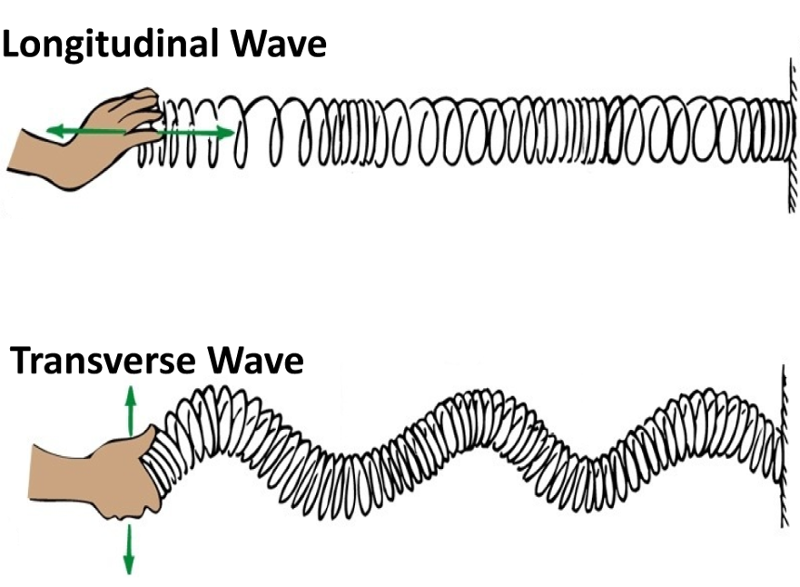 Slinky