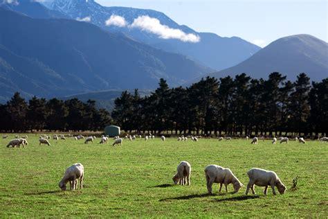rural photo 2.jpg
