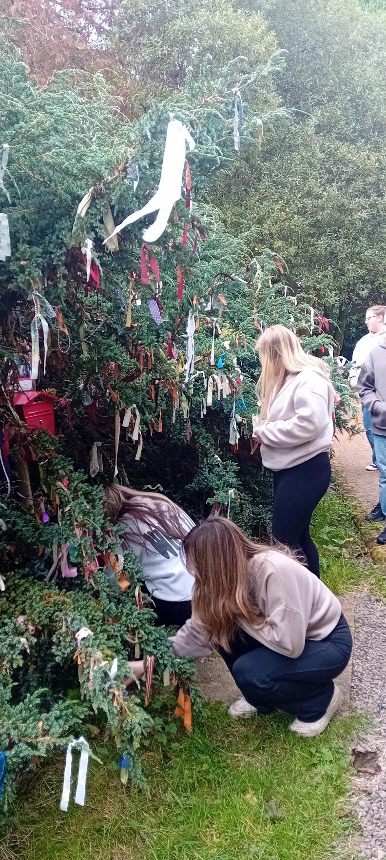 Clootie tree 1 